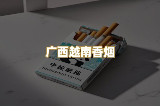 广西越南香烟